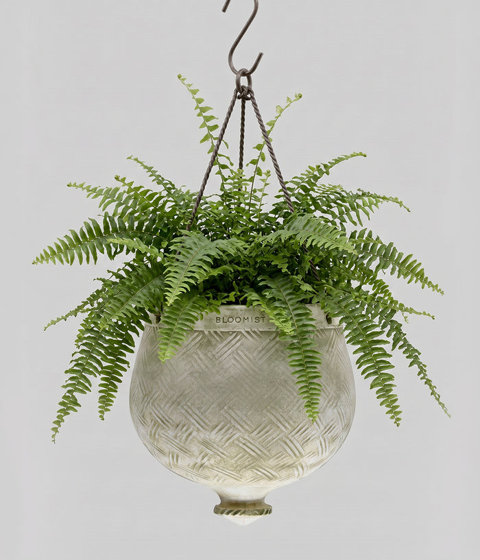 Woven Hanging Planter, White Patina