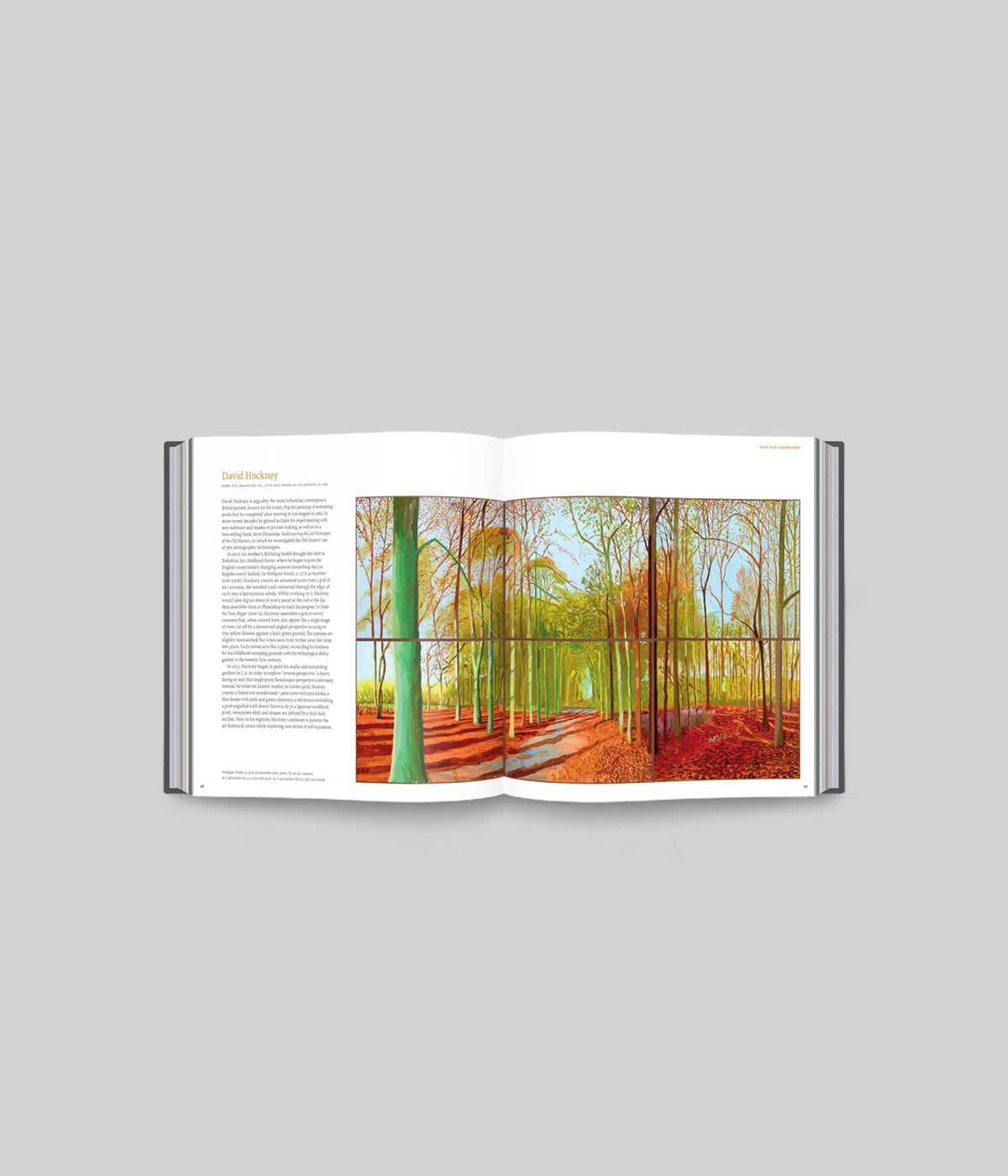 Open page view showing vibrant landscape artwork in fine art painting book