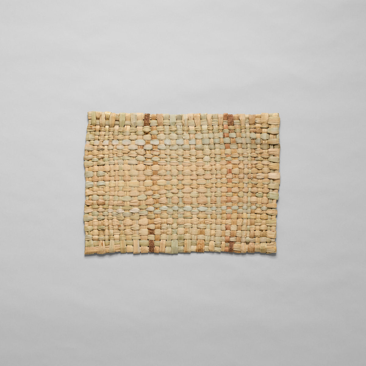 Set of Four Woven Mixed Fibers Placemats - Bloomist