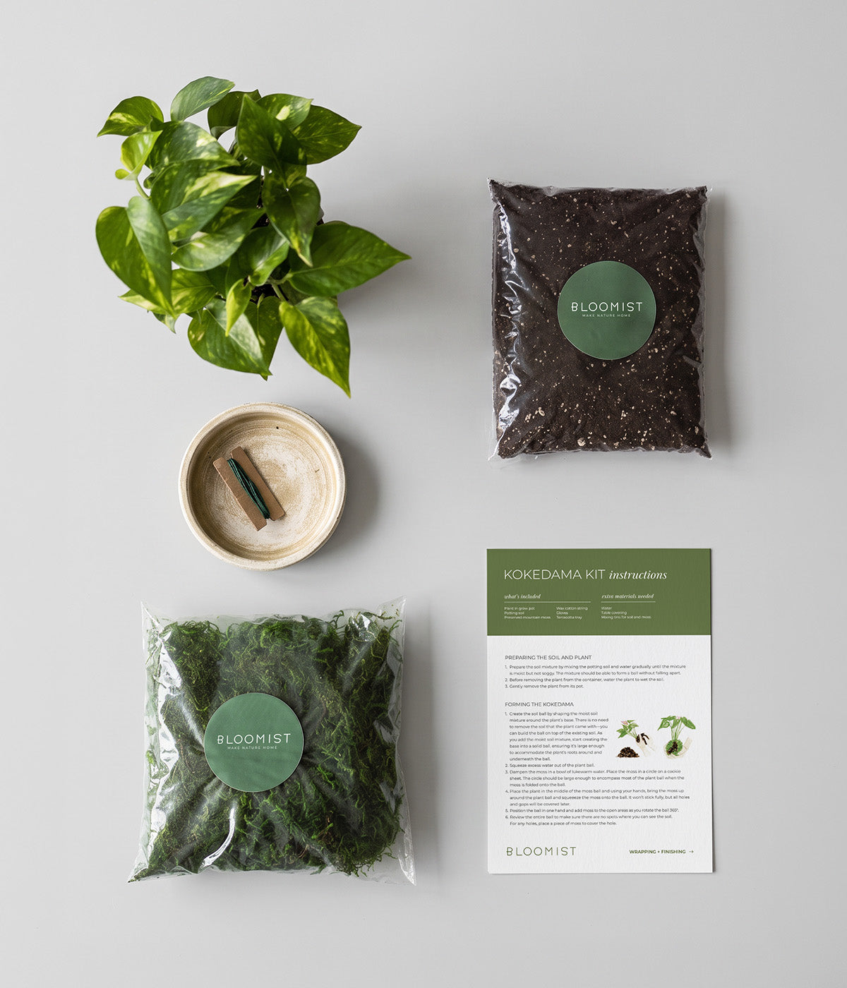 DIY Kokedama Kit