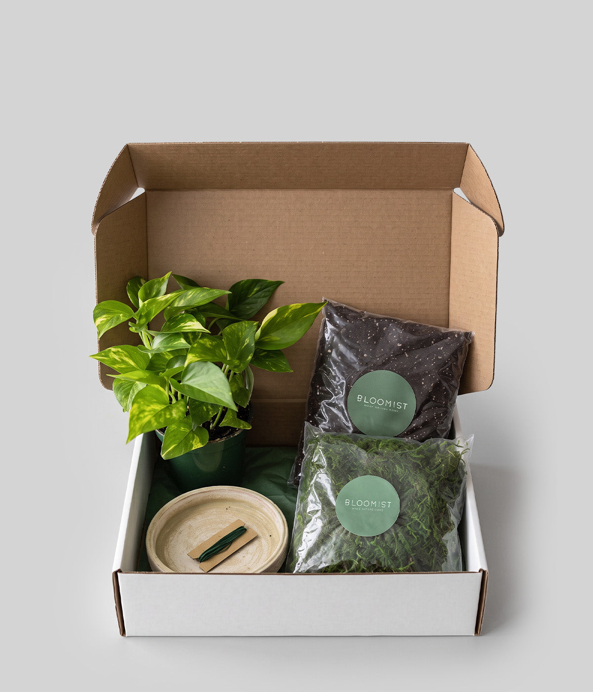 DIY Kokedama Kit