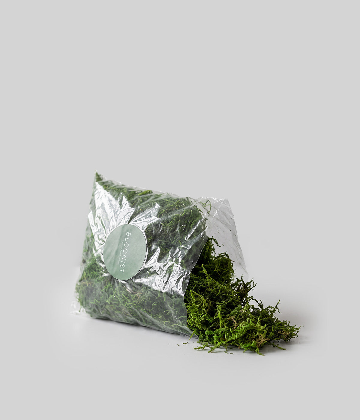 DIY Kokedama Kit