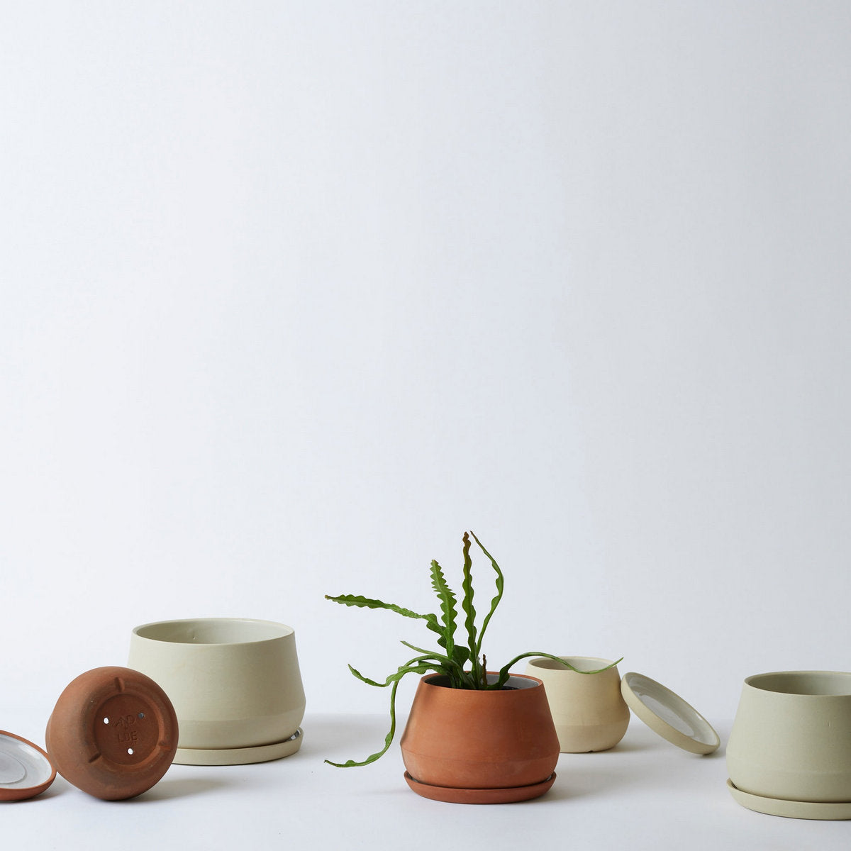 Rancho Planter, Terra Cotta - Bloomist