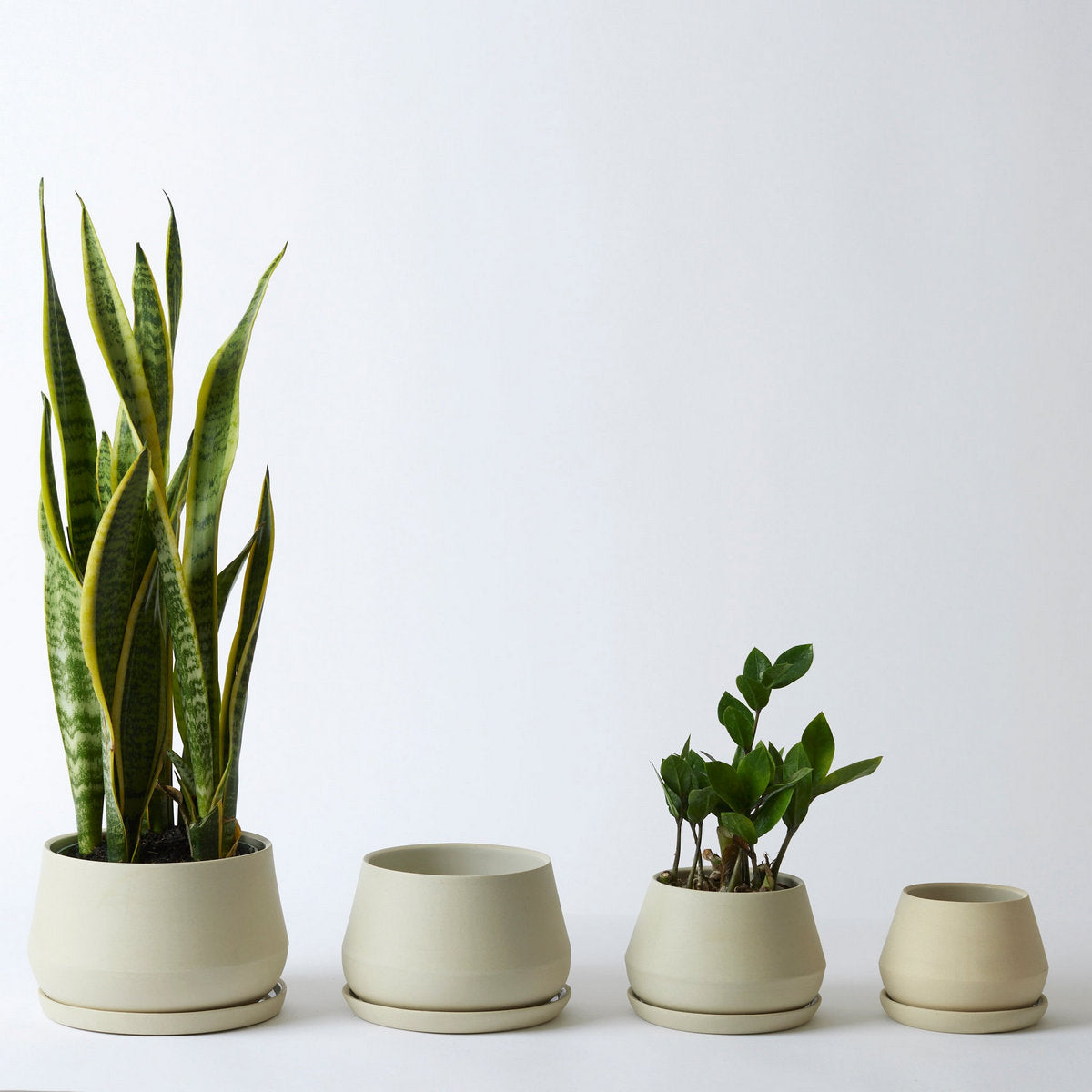 Rancho Planter, Sand - Bloomist