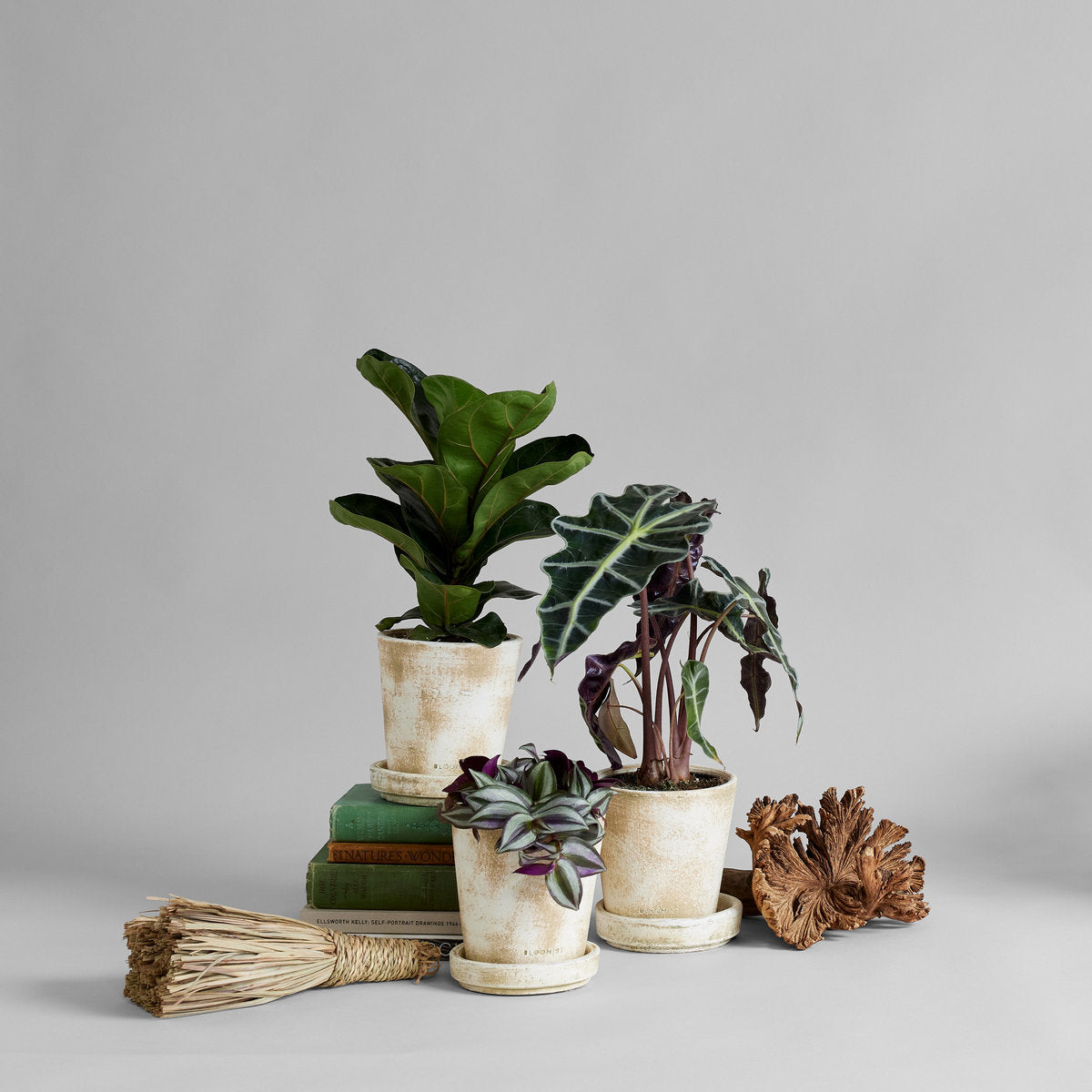 Moroccan Palm Leaf Hand Broom - Bloomist