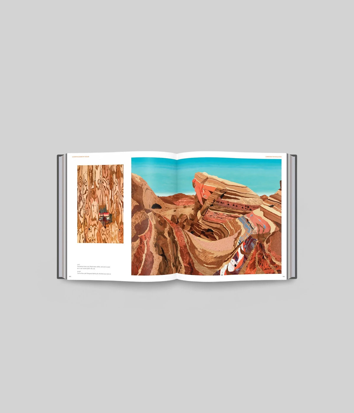 Book spread featuring contemporary nature scenes by global artists in hardcover format
