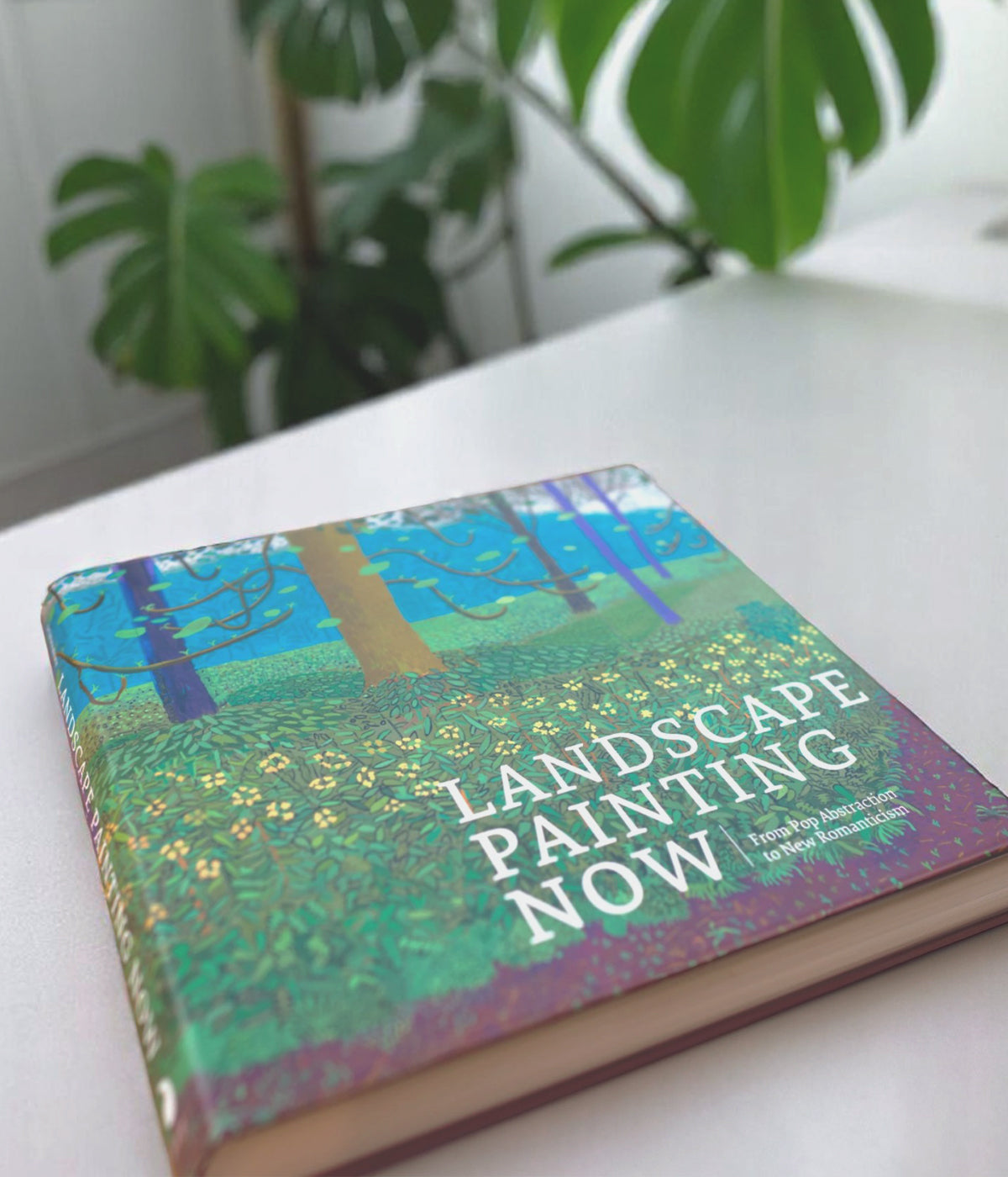 Photograph of hardcover landscape painting book displayed on wood desk