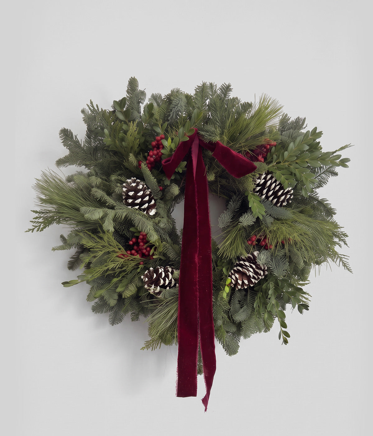 Margaux fresh Christmas wreath with burgundy velvet ribbon, red canella berries, and white-tipped pine cones