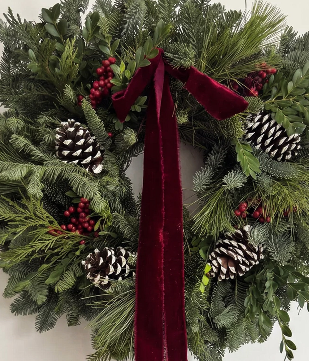 Close-up of Margaux fresh fir wreath with burgundy velvet ribbon, red berries, white-tipped pine cones, and mixed evergreen foliage.