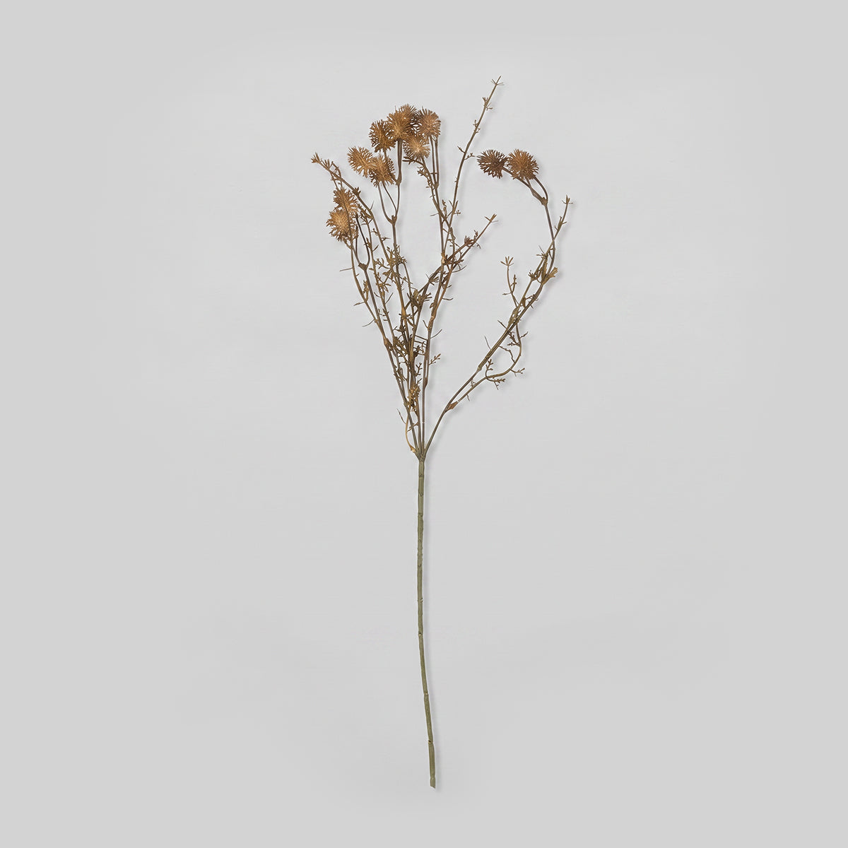 Faux Meadow Pom Pom stem with honeyed pom pom flower heads.
