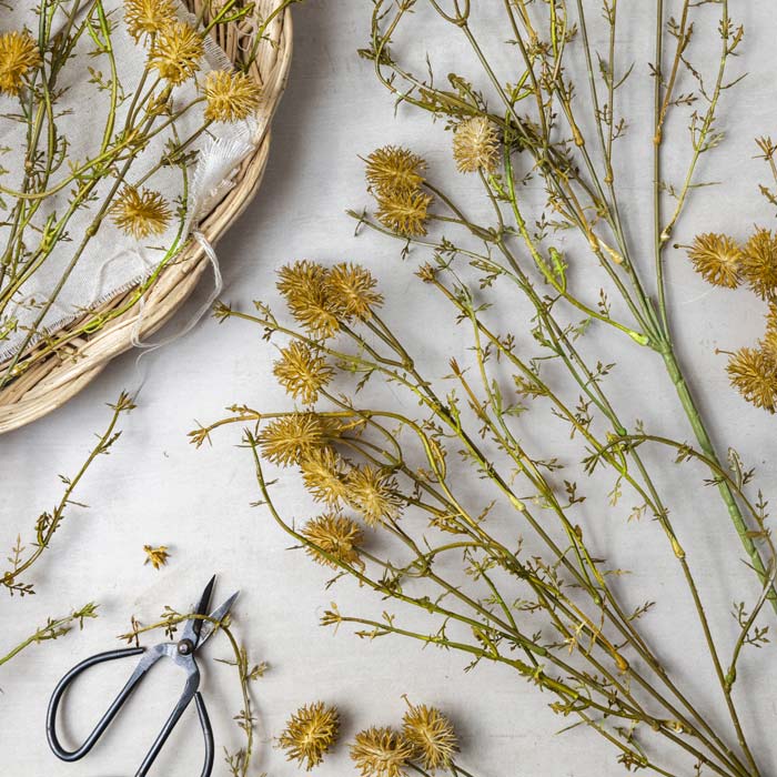 Faux Meadow Pom Pom stem with honeyed pom pom flower heads.
