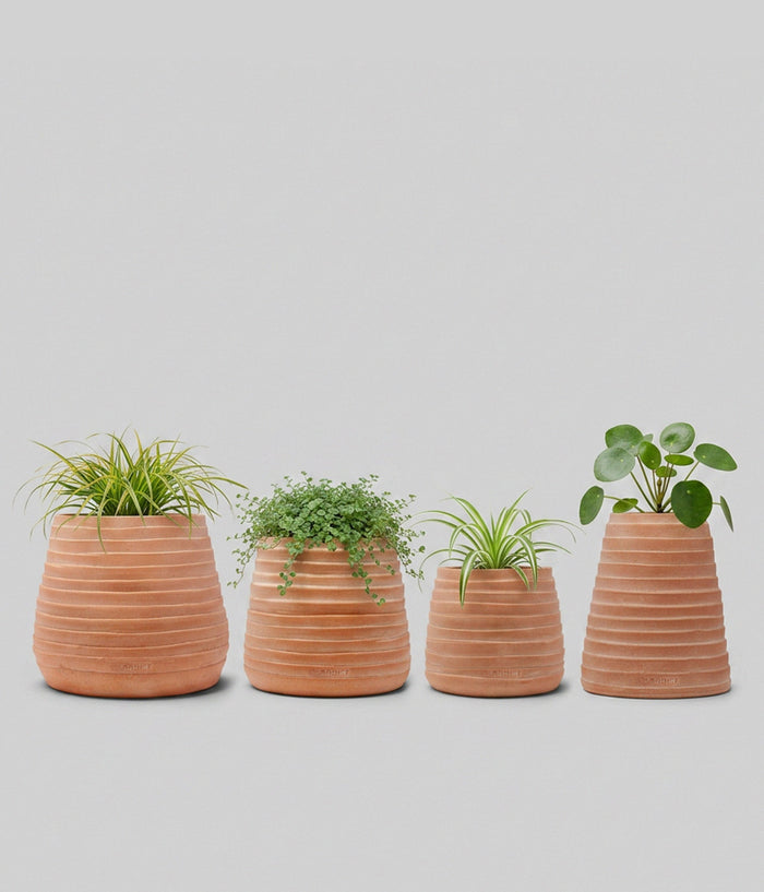 Ridge Terracotta Planter, Whitewash