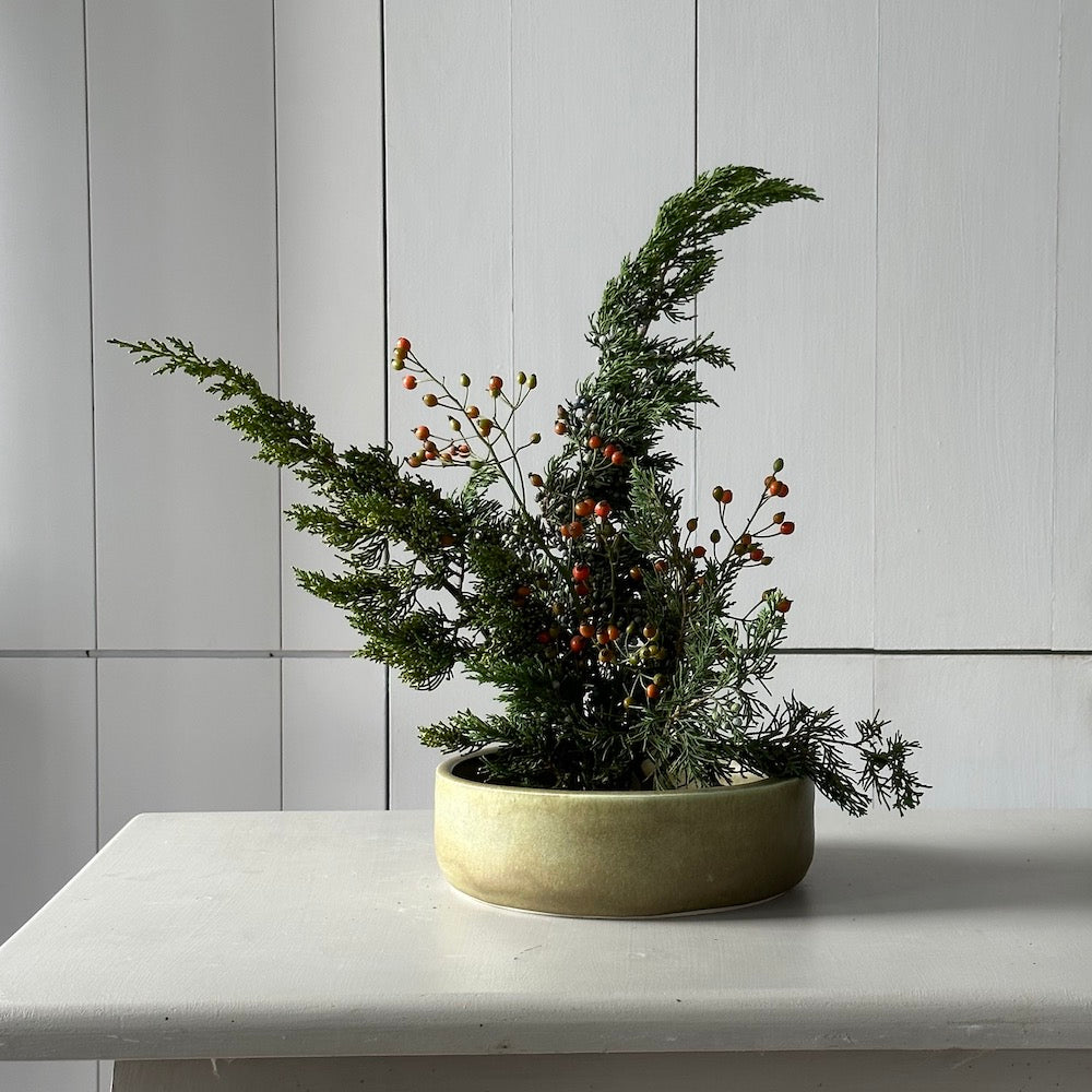 Preserved Juniper With Berries - Bloomist