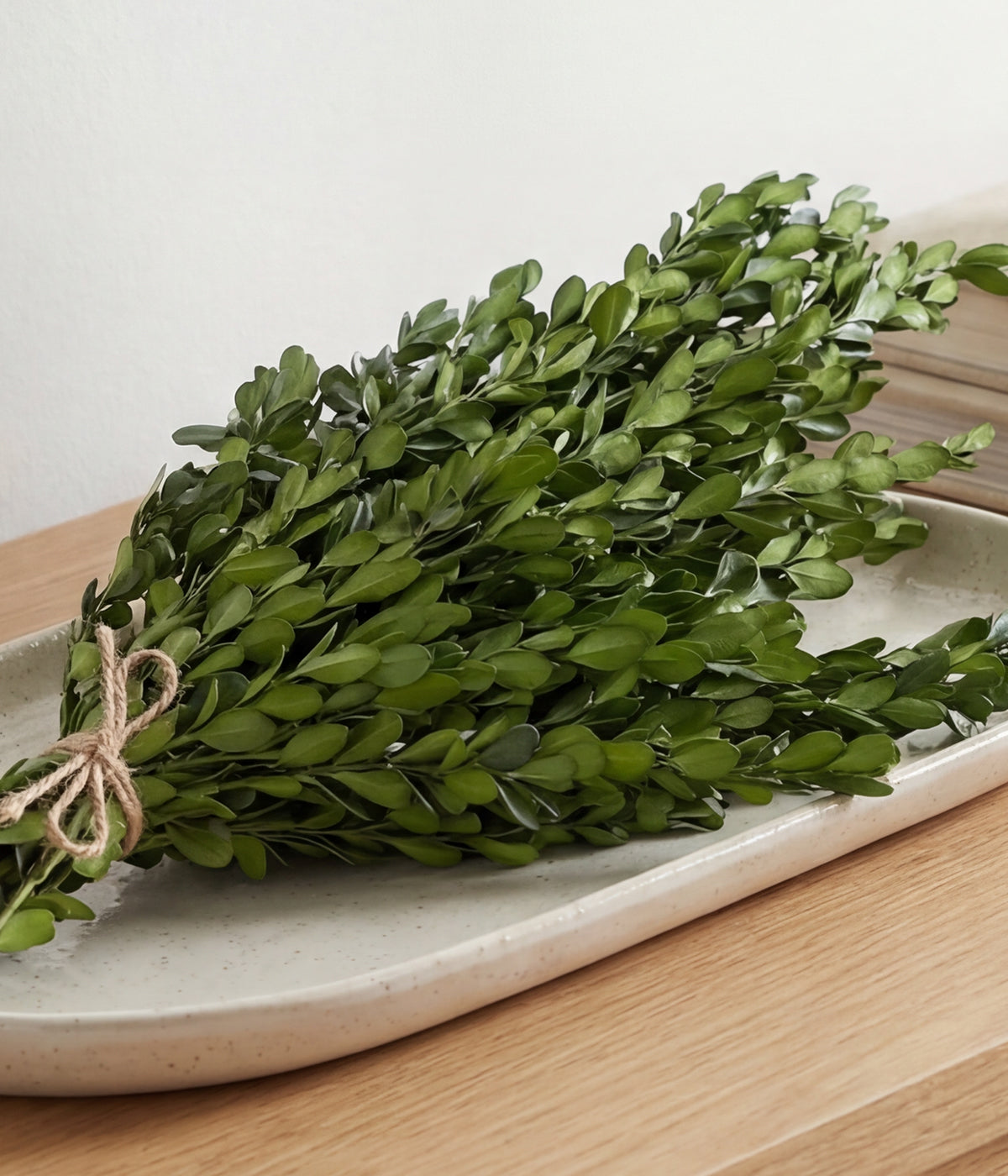 Preserved and dried boxwood stems laid on white ceramic plate with natural light