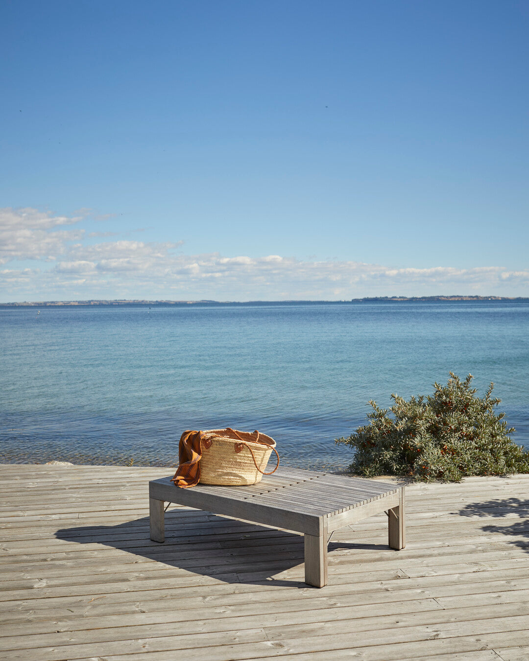 premium outdoor teak sunbed




