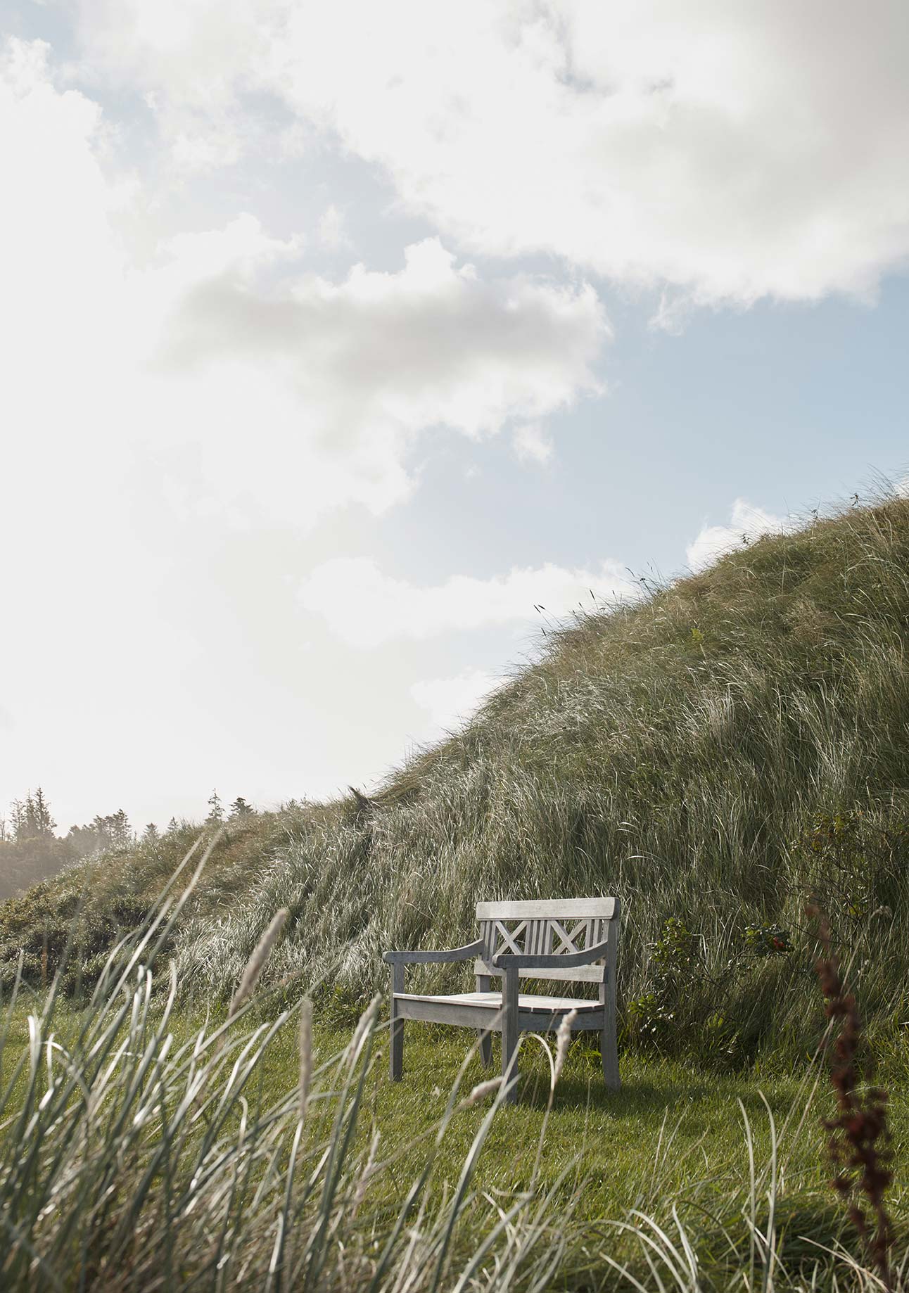 garden drachmann bench
