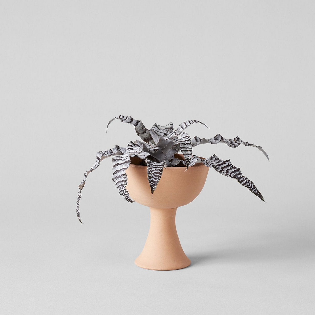 Goblet Terra Cotta Planter - Bloomist