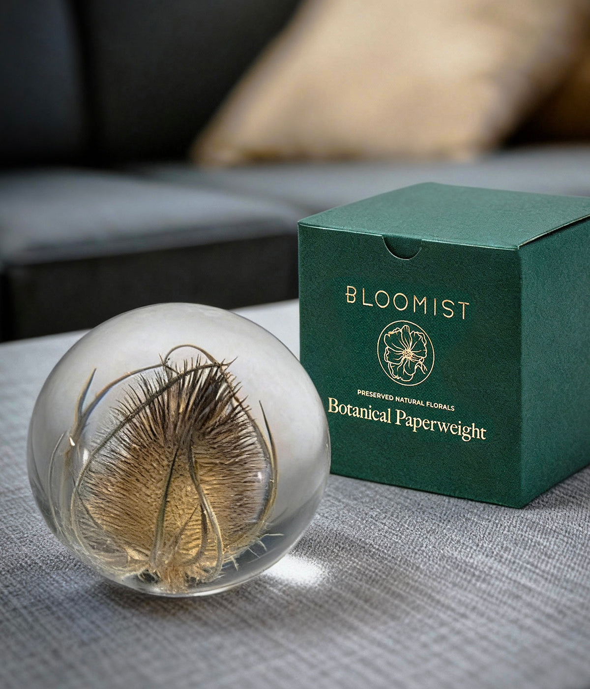 Botanical glass paperweight with a golden thistle resting on a fabric surface beside a green Bloomist gift box