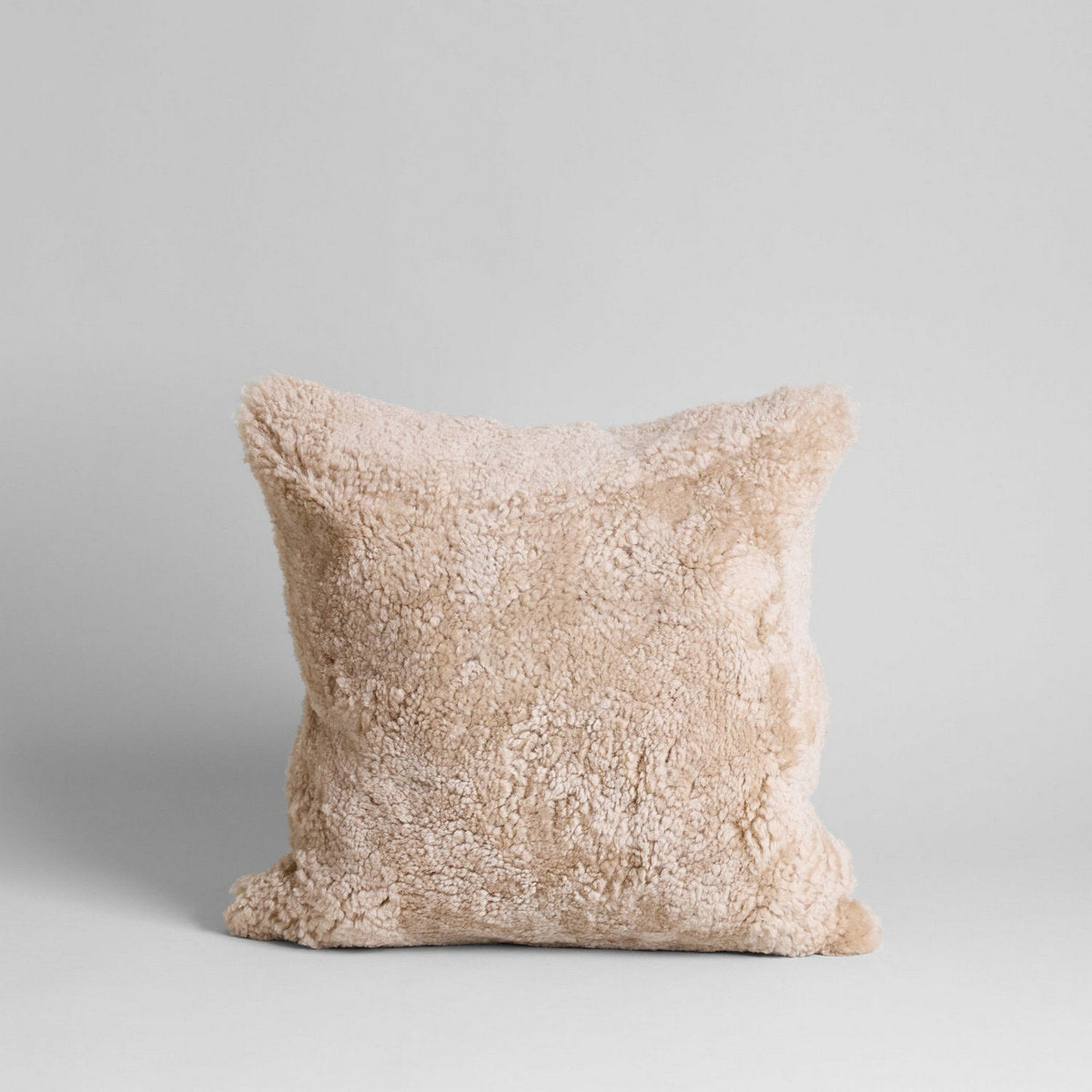 Curly Shearling Sheepskin Pillow, 20" x 20" - Bloomist