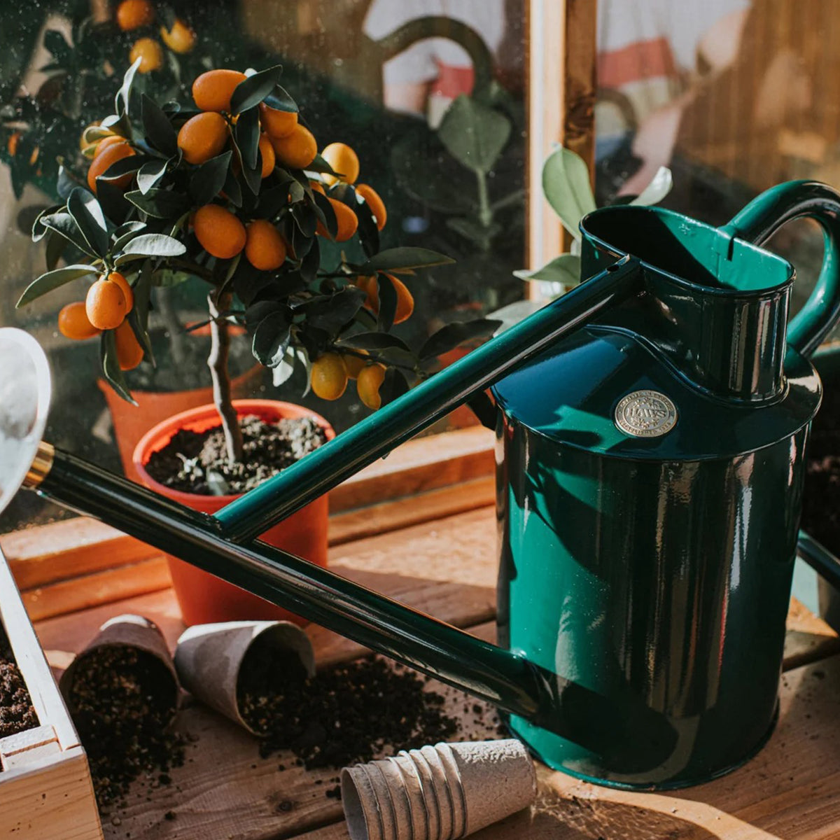 Haws outdoor watering can in green galvanized steel with curved handle and classic spout design