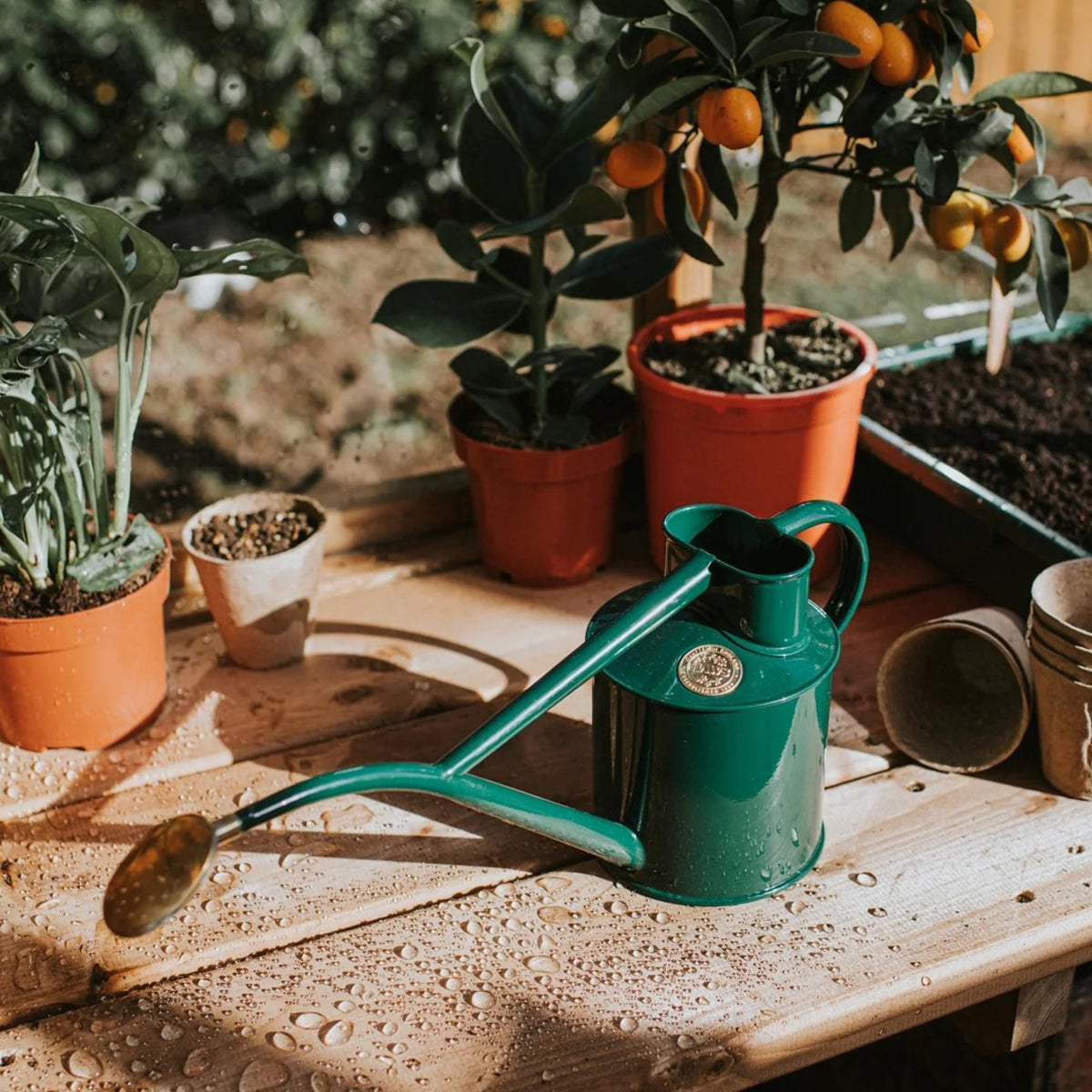 Haws outdoor watering for outdoor use, with brass rose and 2-pint capacity