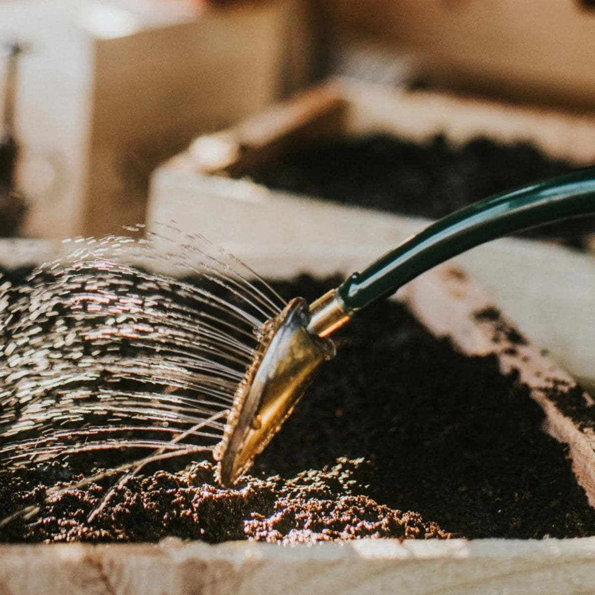2 pint watering can in green powder-coated steel with long spout for garden plant watering