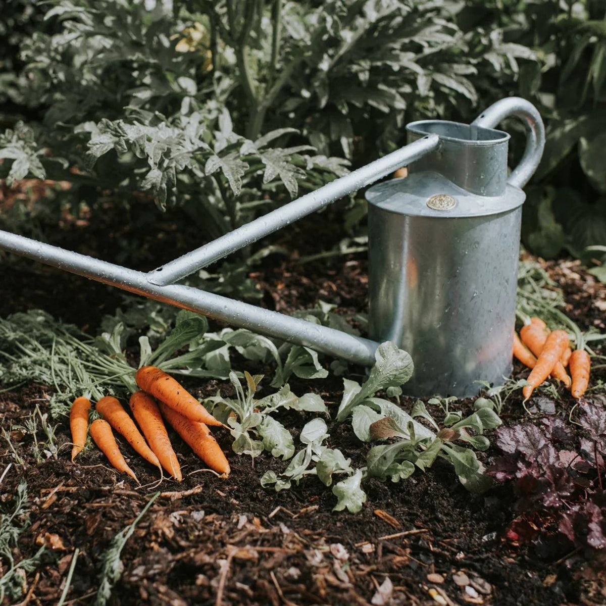 Haws watering can 2 gallon handmade in Smethwick from galvanized steel