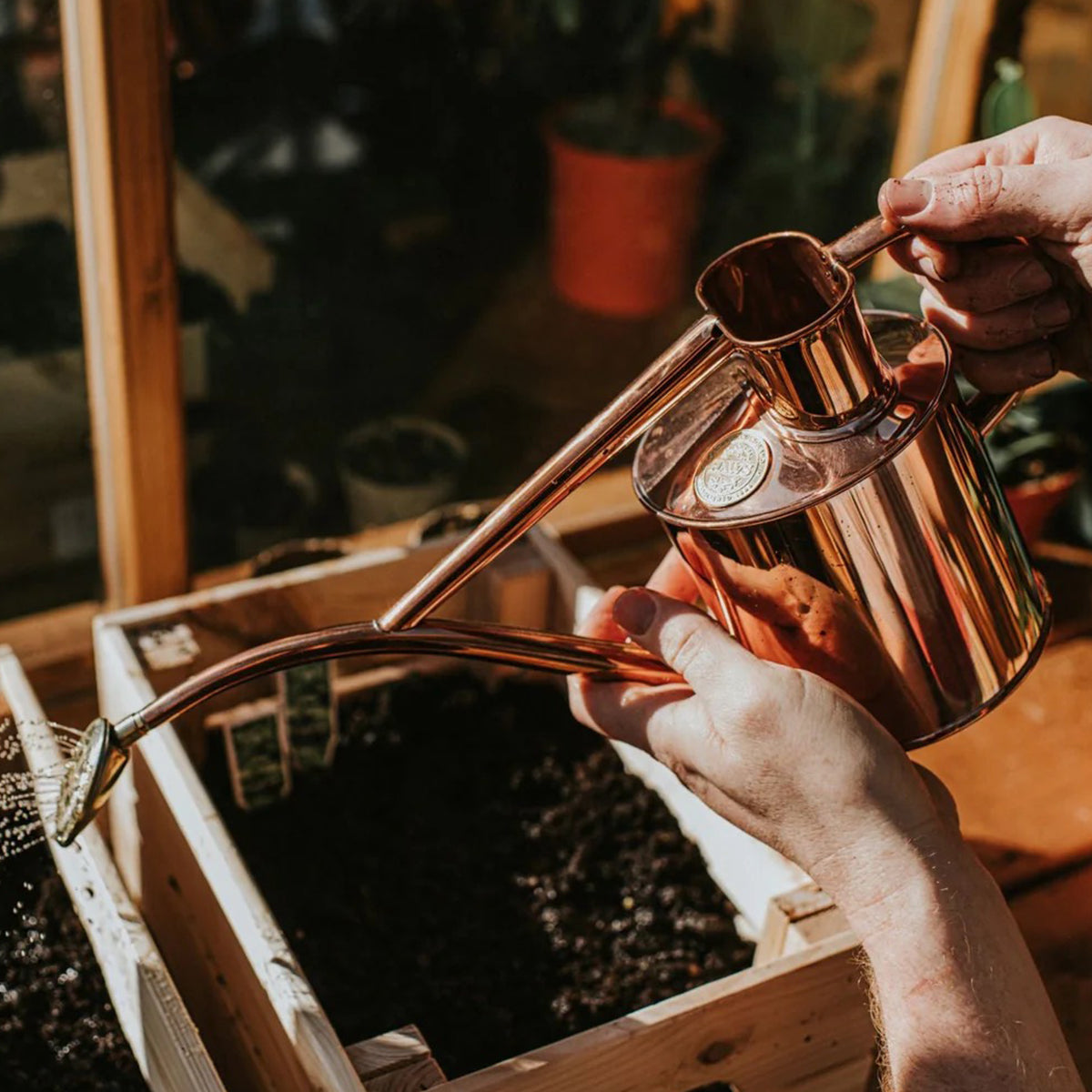 Long neck watering can in copper with 2-pint capacity and curved spout for precise plant watering