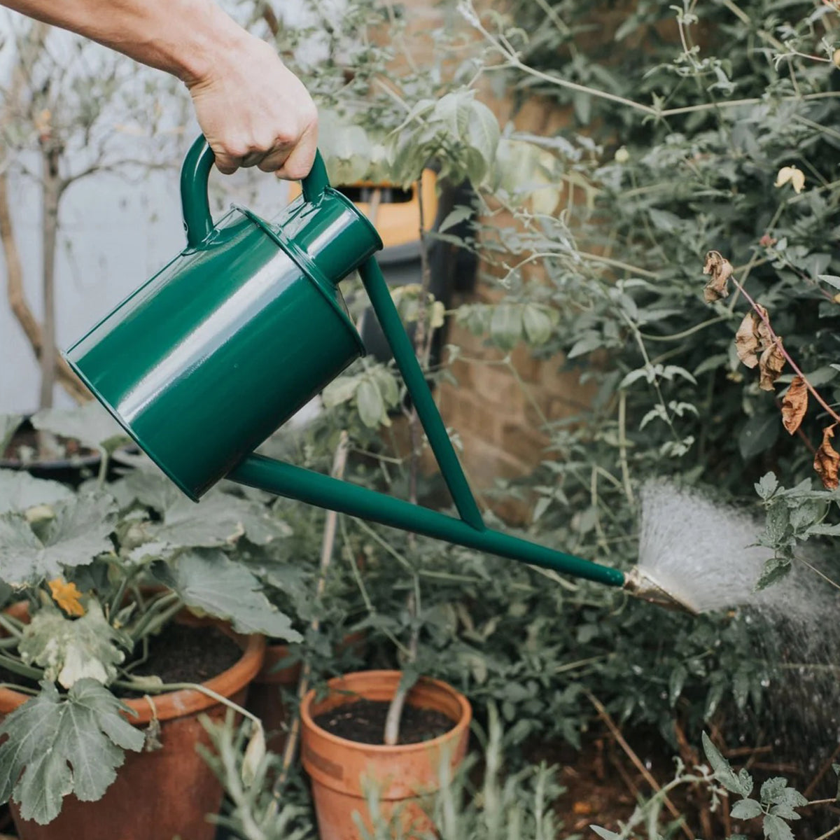 Best outdoor watering can with balanced handle, brass rose, and timeless Haws design