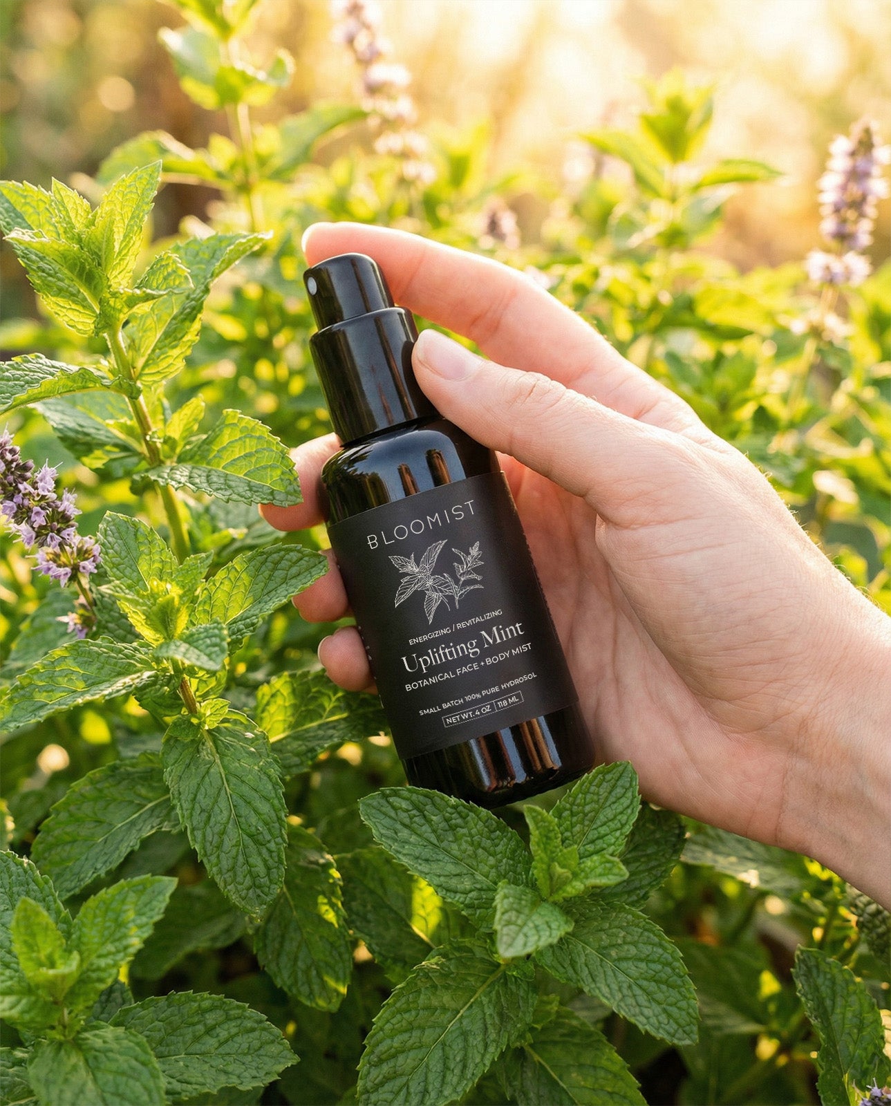 Peppermint hydrosol distilled from organic mint blend