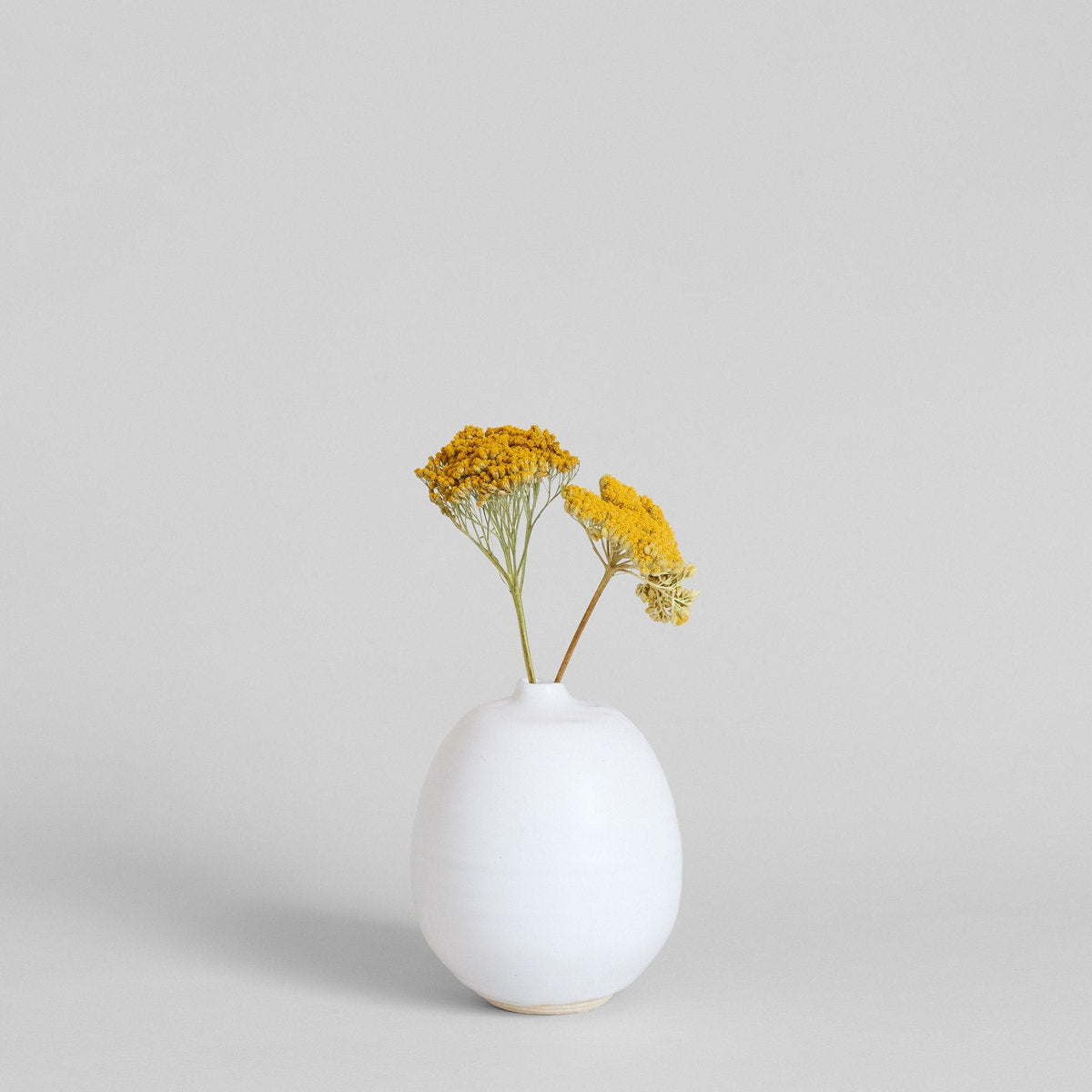 Dried Natural Yarrow - Bloomist