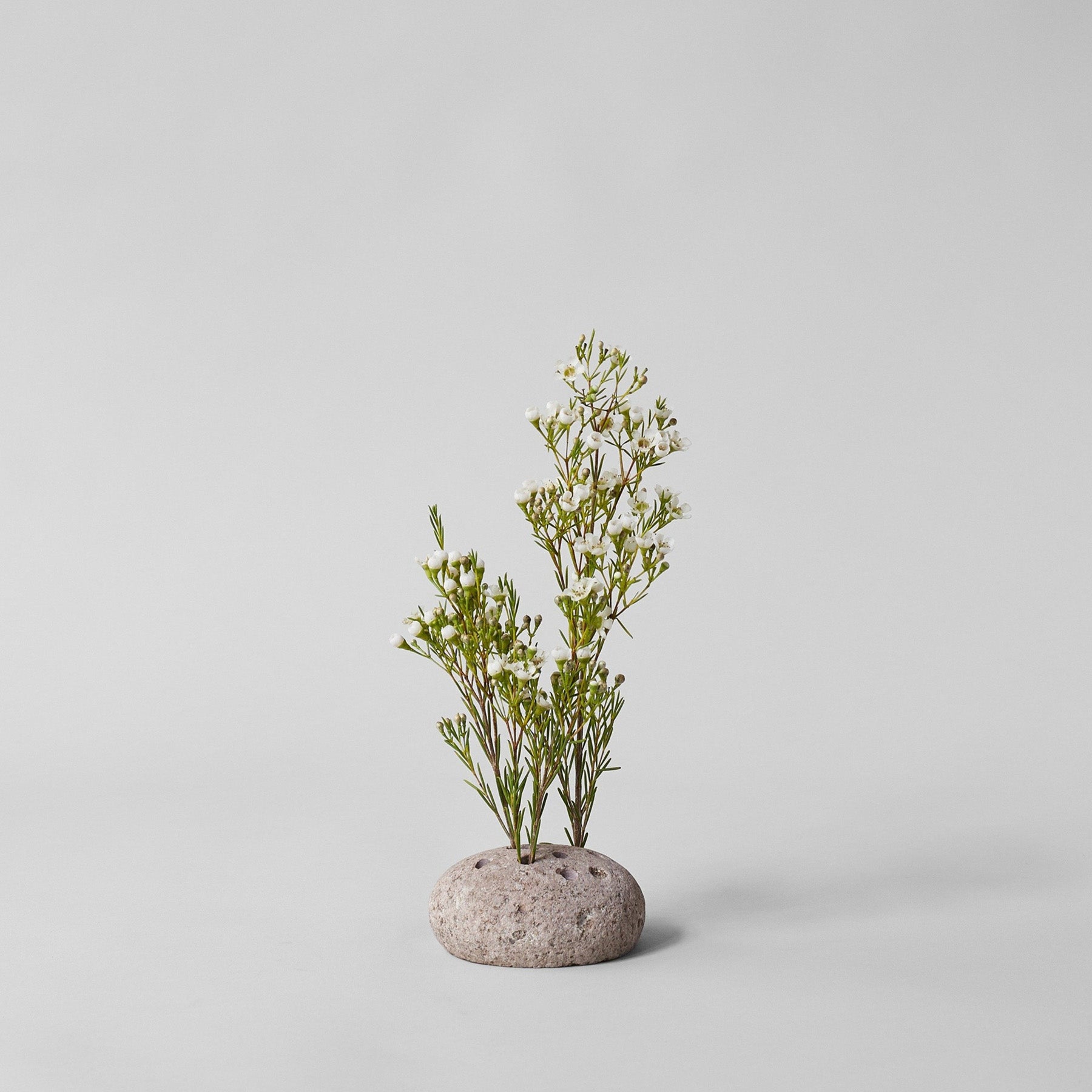 River-worn stone flower frog holding upright stems