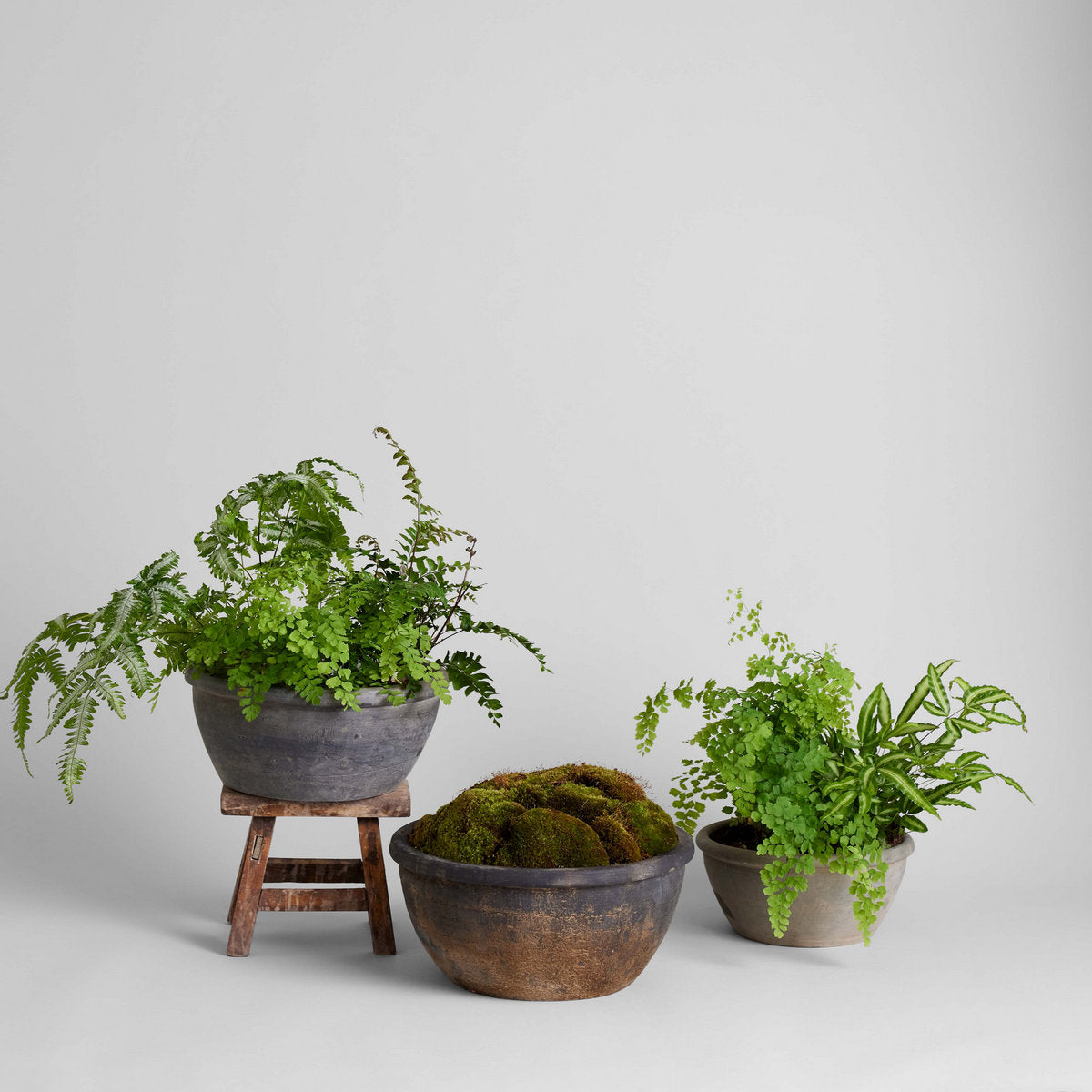 Vintage Grey Planter - Bloomist