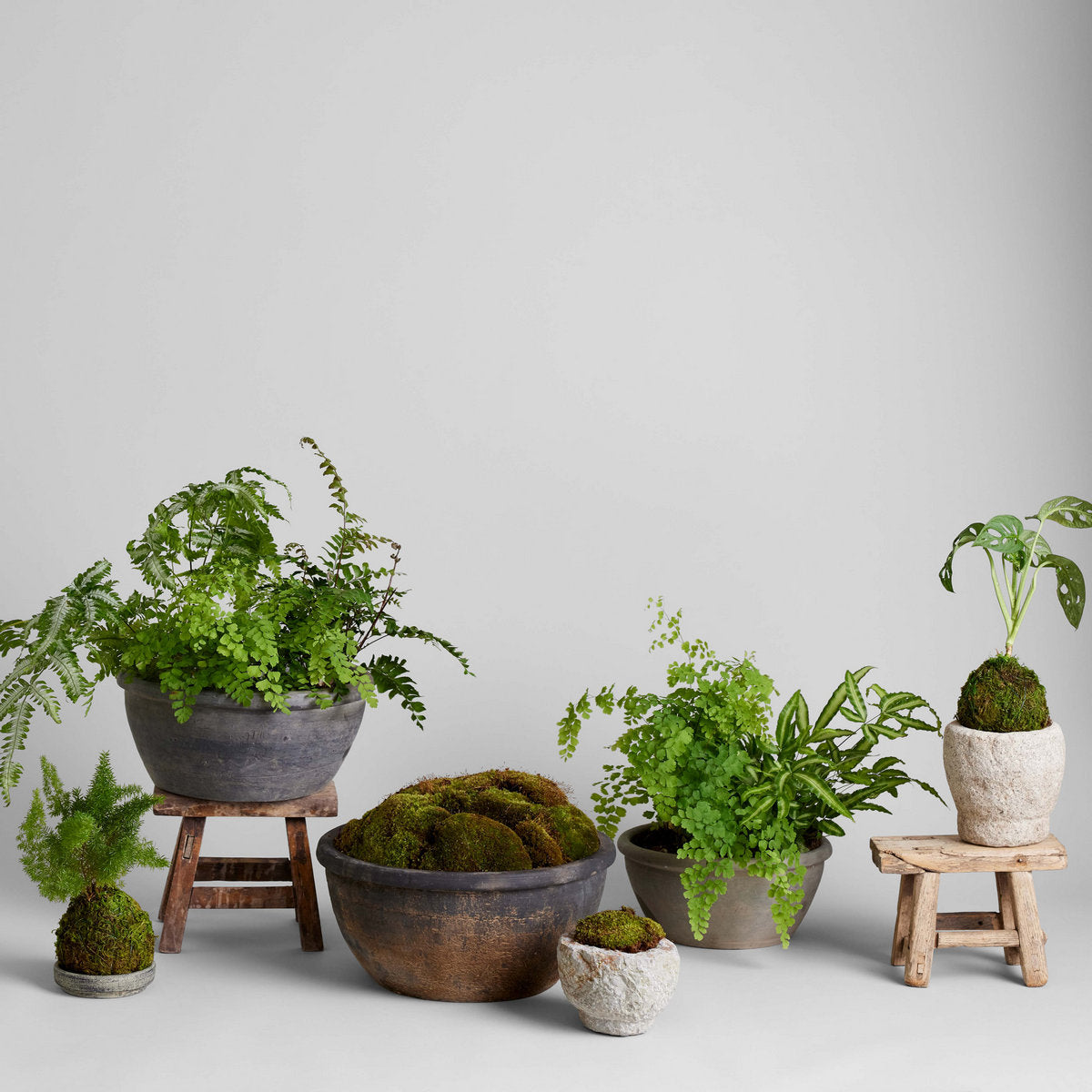 Vintage Grey Planter - Bloomist