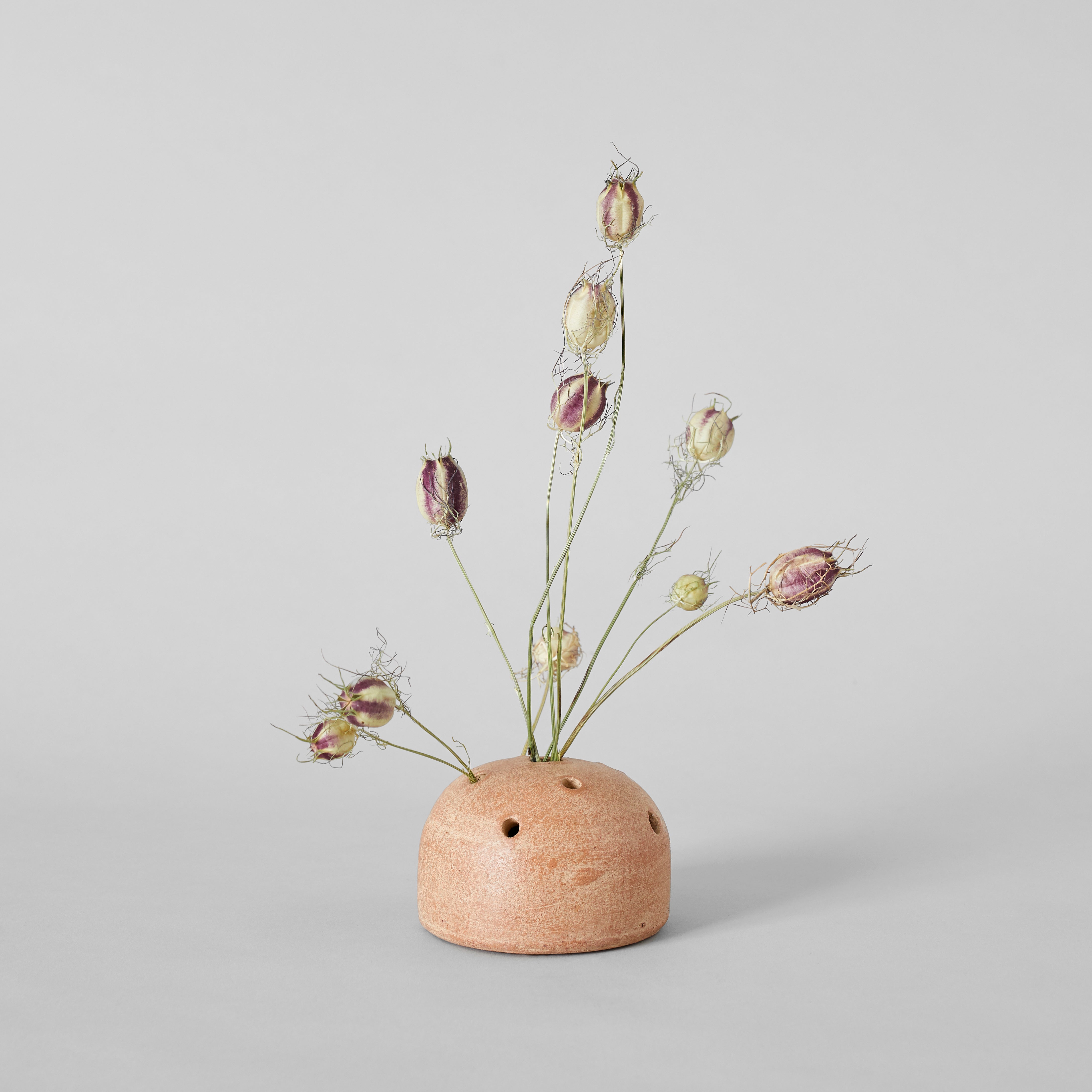 Terra cotta frog vase with dried stems on gray background