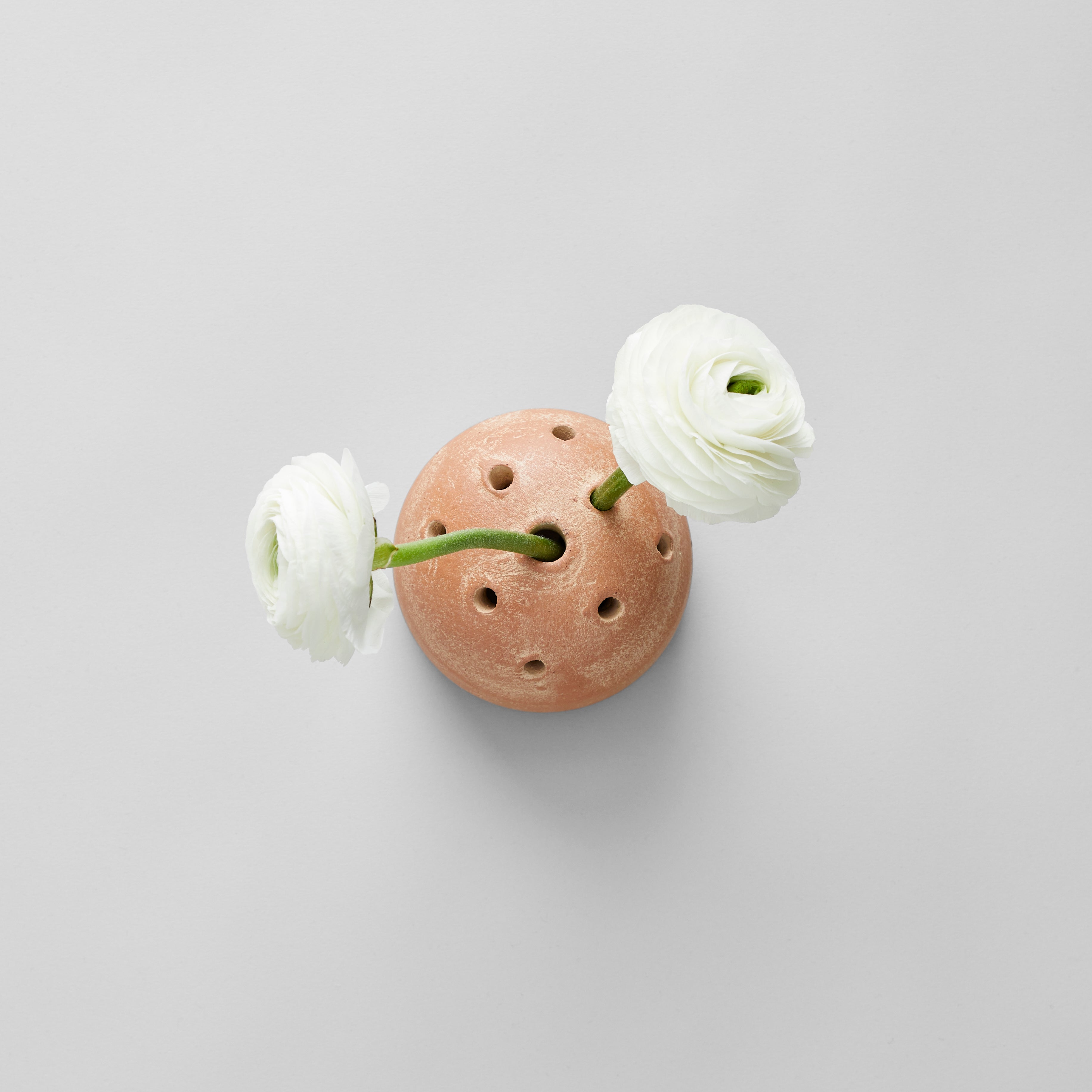 Frog vase with two white flower stems overhead view