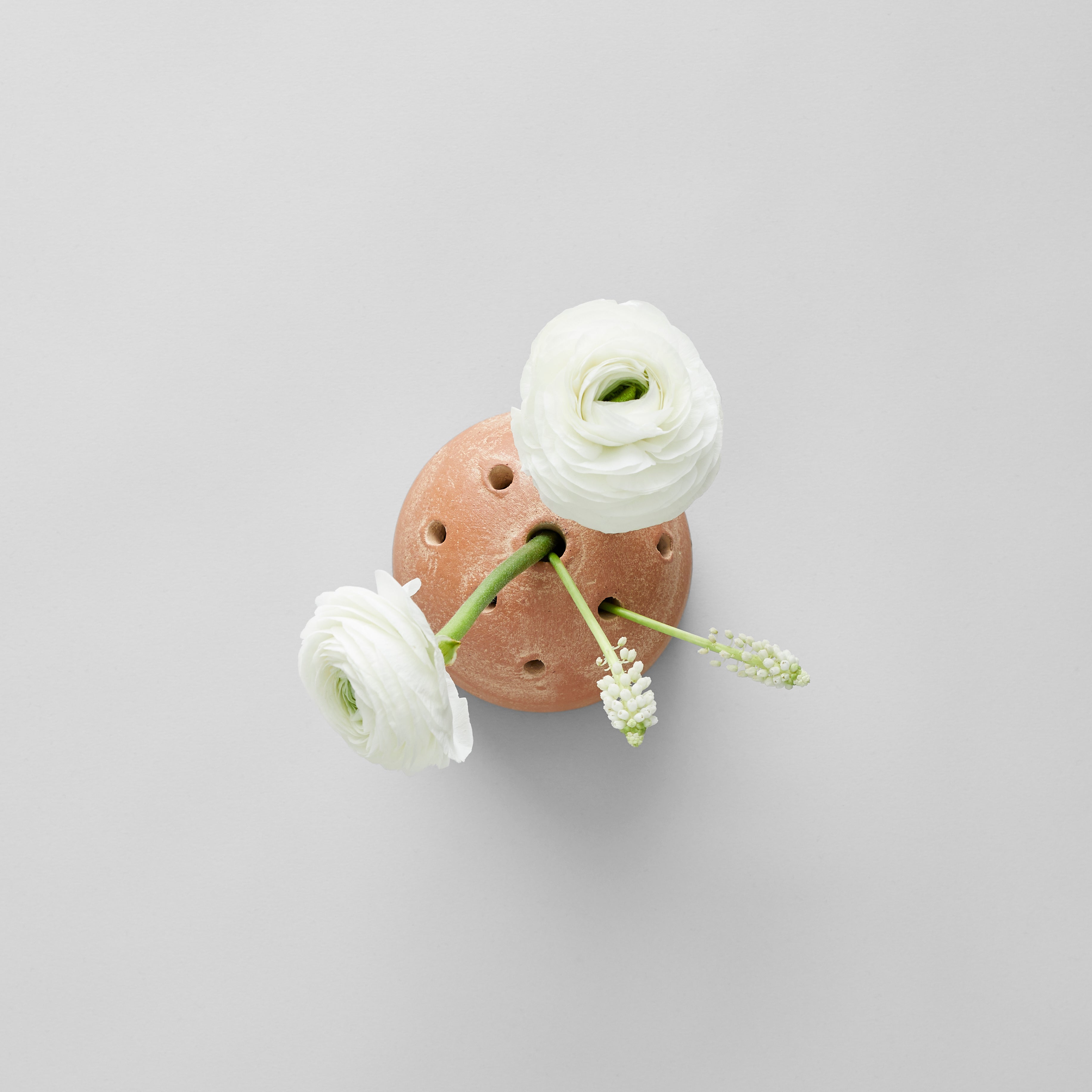 Overhead view of frog vase with four white flowers