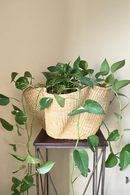 Hand woven baskets with natural grass tone and firm structure