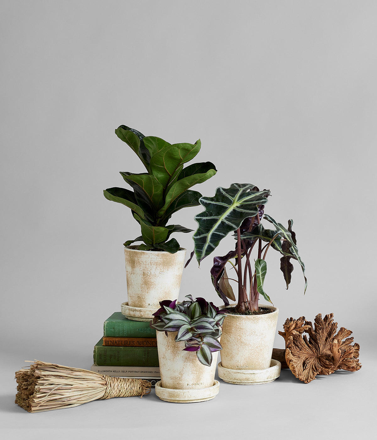 Hand-thrown white patina planters made of terra cotta for indoor and outdoor use