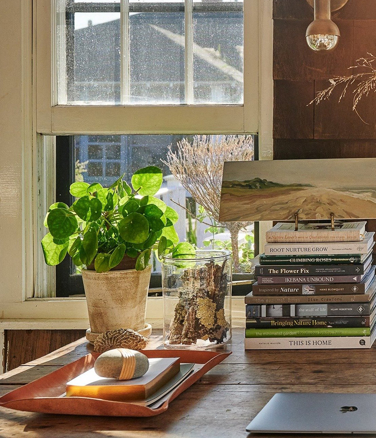 Whitewashed terra cotta planter set for indoor and outdoor plants