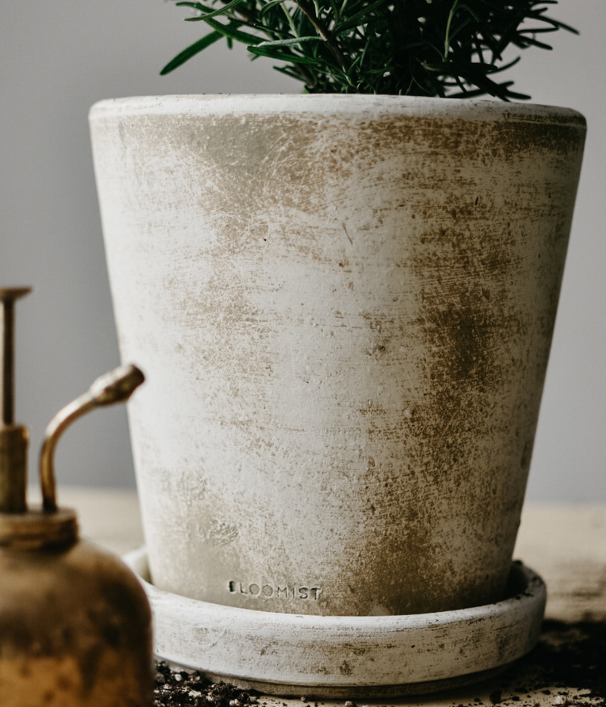White patina planter and tray set with subtle artisan finish perfect for shelf or patio display