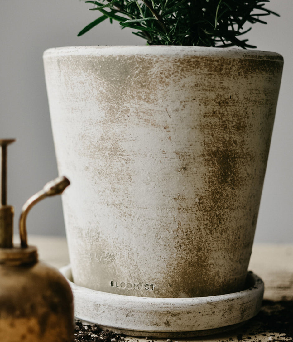 White patina planter and tray set with subtle artisan finish perfect for shelf or patio display