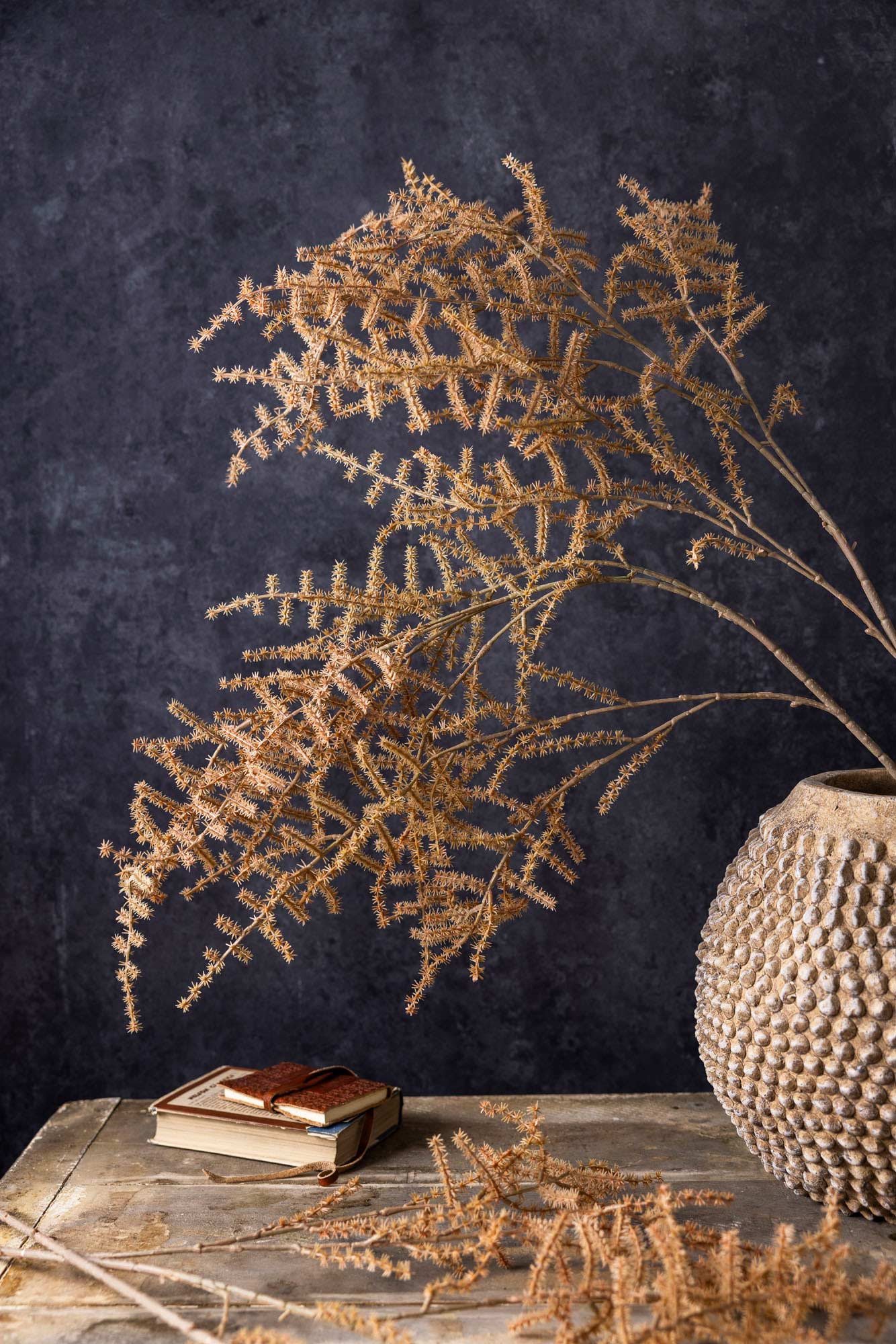 desert asparagus fern