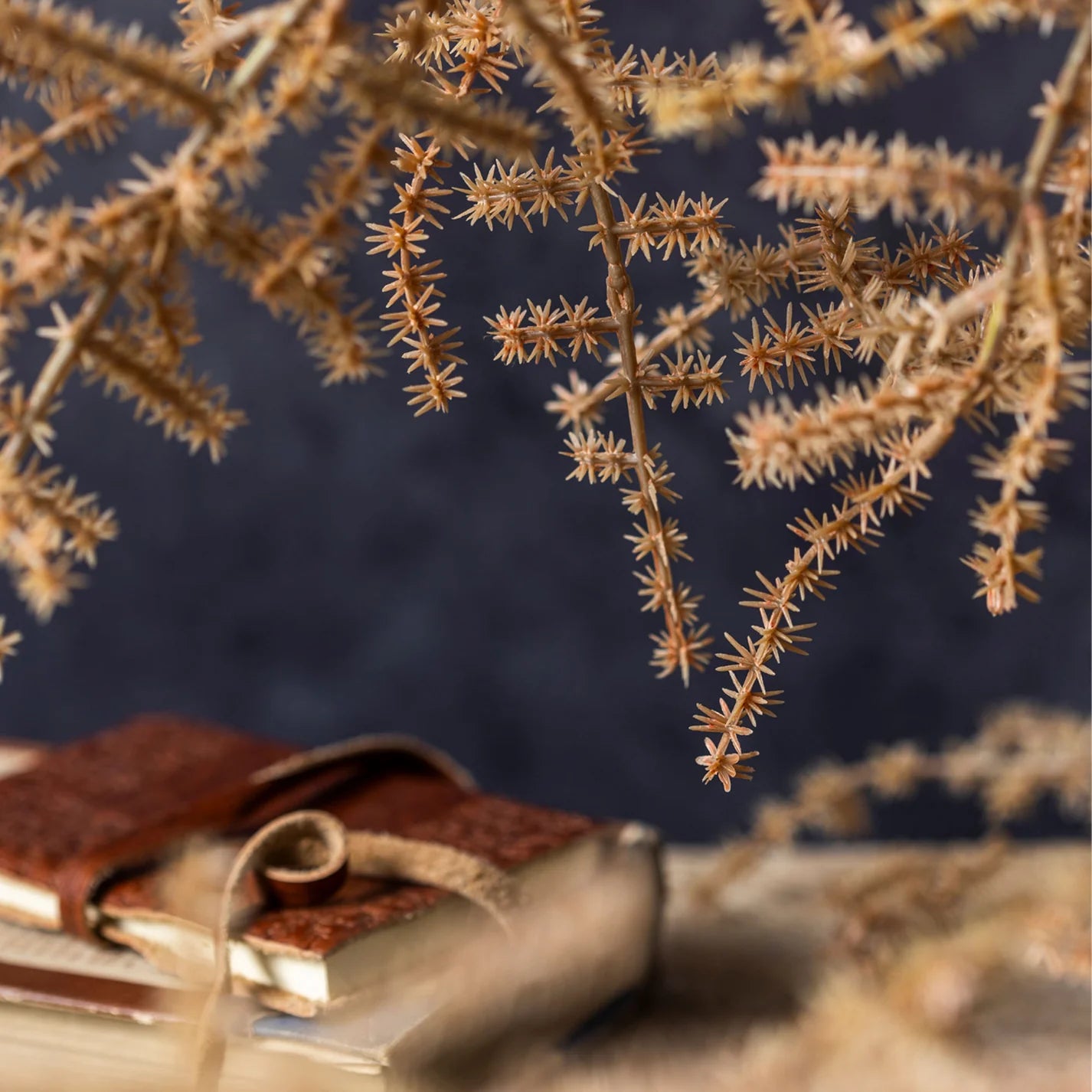 silk asparagus fern plant
