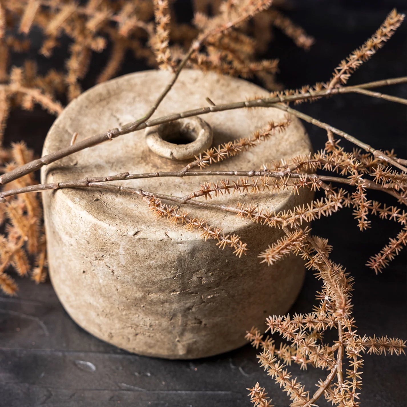 realistic desert fern decor
