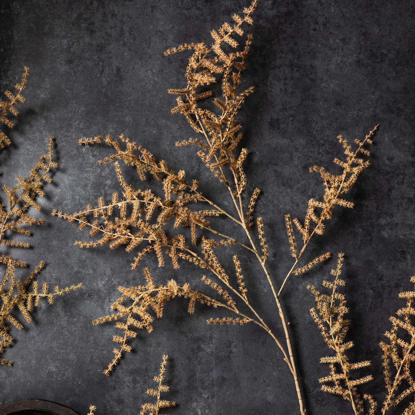 decorative faux asparagus fern