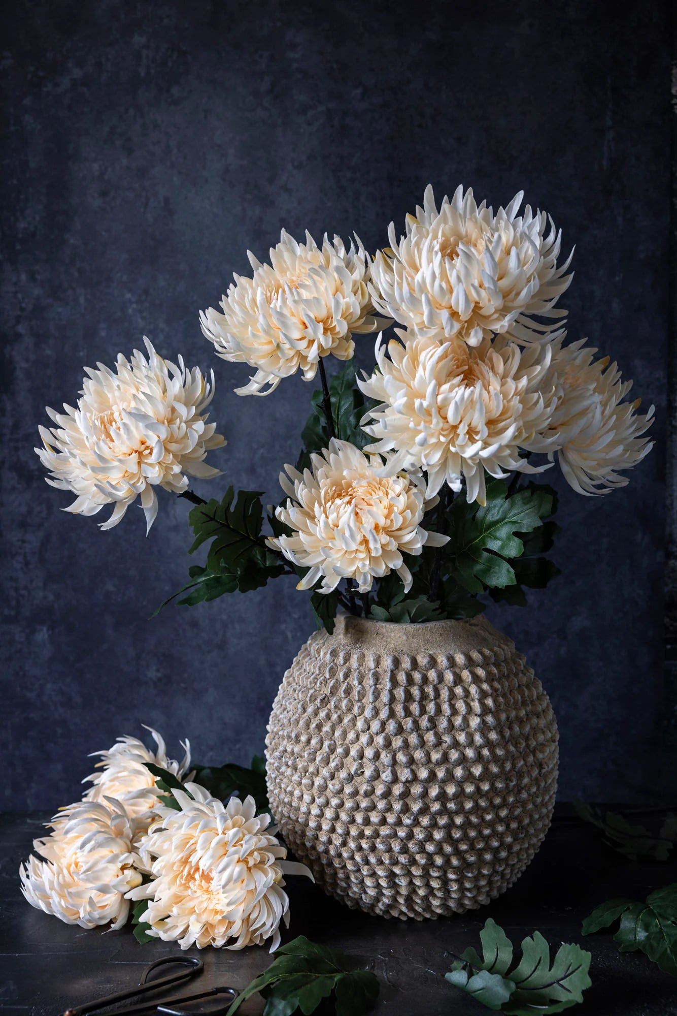 silk cream chrysanthemum
