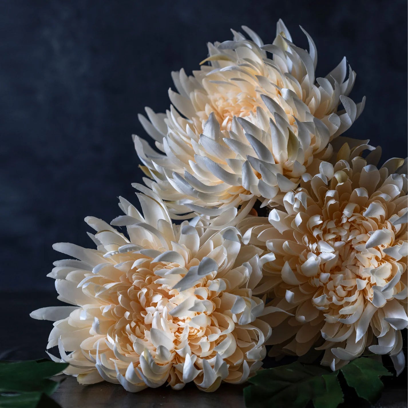 realistic cream mum flower
