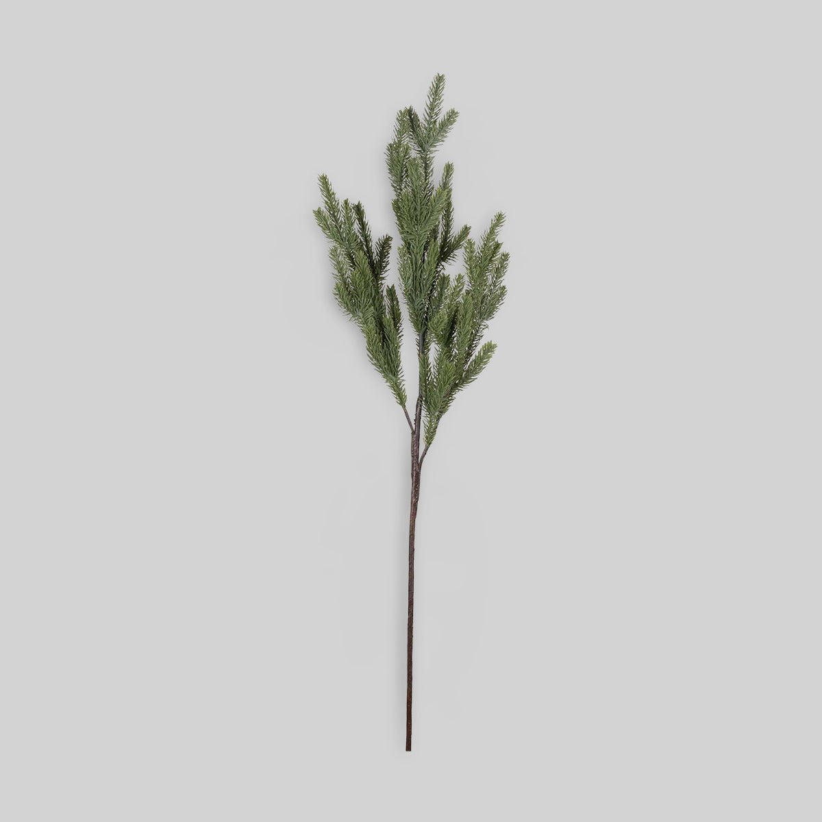 Faux foxtail pine stem with feathered spines and green tones