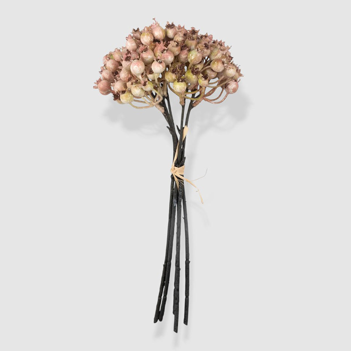 blush rose hip stems